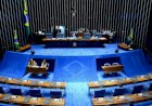 Morte de rifeiros: senadores baianos reagem a PL que legaliza jogos de azar no país