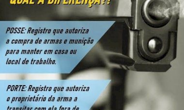 Porte de arma x posse de arma