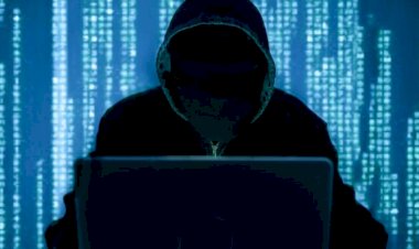 O que é o golpe do 'abate do porco', que manipula vítimas e esvazia suas contas bancárias